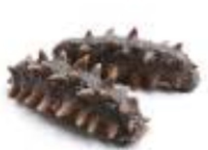 Sea cucumber